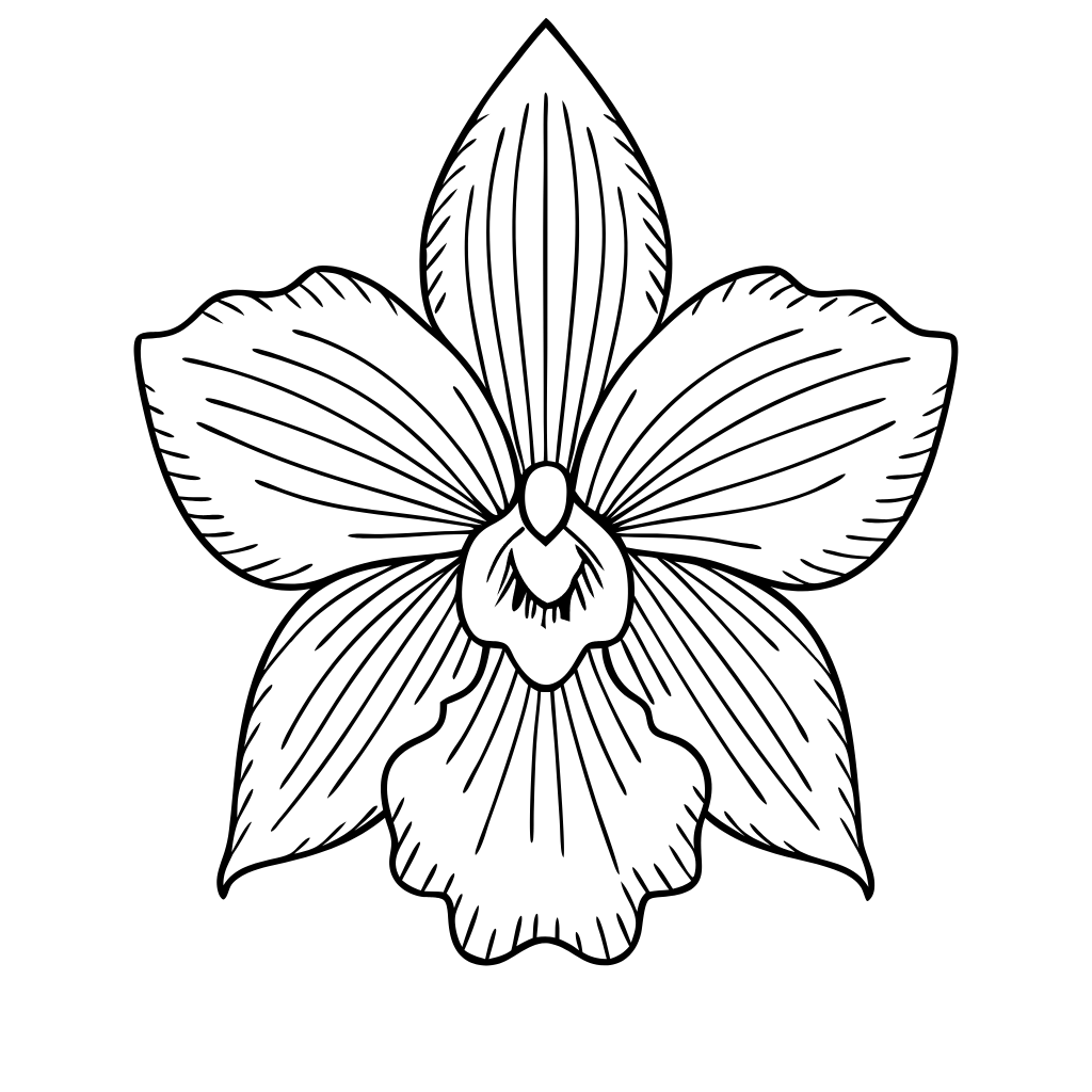 Nativis Logo